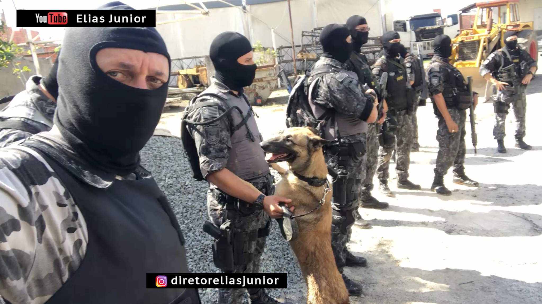 K9 Cães Policiais